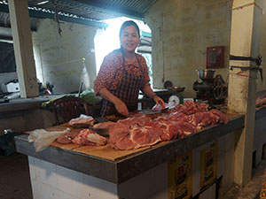 Nghệ An: Giá lợn hơi xuống thấp, chủ trang trại càng nuôi càng thua lỗ