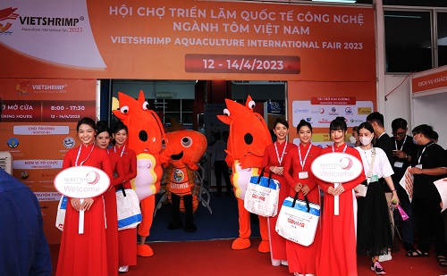 Nâng tầm chuỗi giá trị tôm Việt Nam 