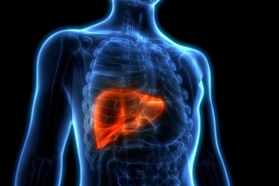 Những thực phẩm tồi tệ nhất đối với gan