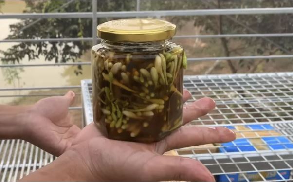 3 thứ này ngâm với mật ong đem lại nhiều lợi ích cho sức khỏe, chữa được vô số bệnh tật