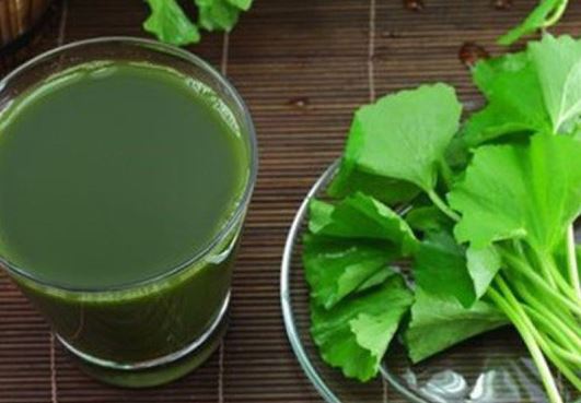 Rau má có tác dụng chữa đau dạ dày?