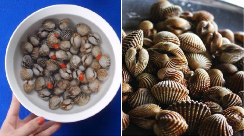 Cách hấp sò huyết ngon dễ làm