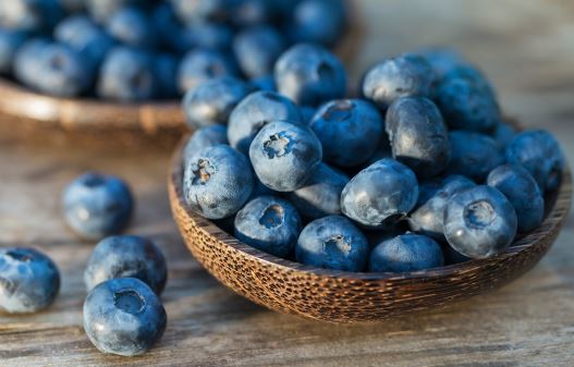 6 lợi ích của quả việt quất mà không nhiều người biết