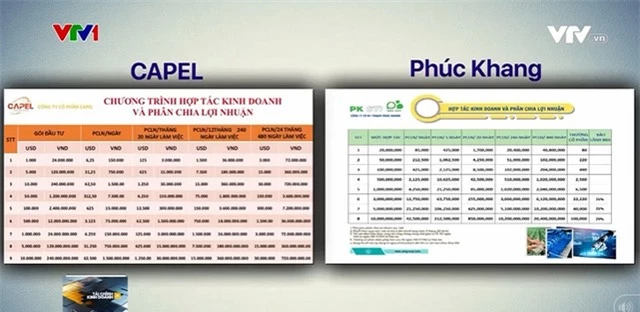 Hợp đồng hợp tác kinh doanh lãi suất khủng - Miếng pho mát trên chiếc bẫy chuột - Ảnh 3.