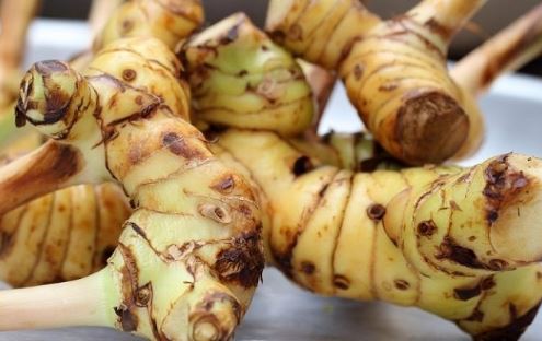 Tác dụng phụ của củ riềng không phải ai cũng biết