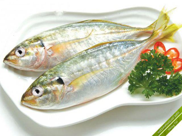 99% số người không biết có 8 loại hải sản là "sát thủ" của bệnh ung thư