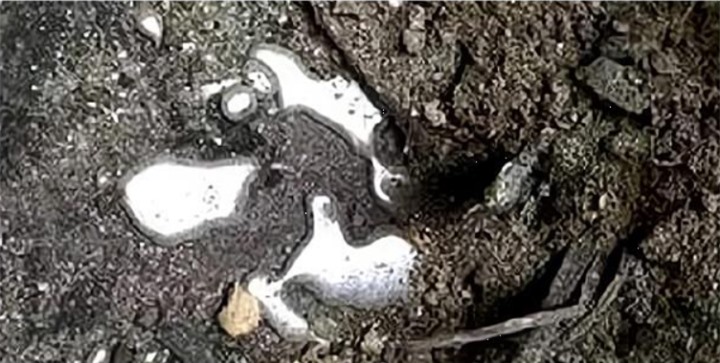 Khai quật quan tài đỏ, thuỷ ngân chảy ra khiến các chuyên gia hốt hoảng bỏ chạy - 3