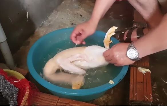 Muốn nhổ lông vịt nhanh cứ thêm thứ này: Chỉ vài phút là lông măng sạch bong lại hết cả mùi hôi