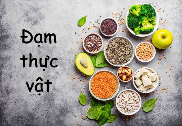 Đạm thực vật là gì? thực vật nào giàu đạm nhất