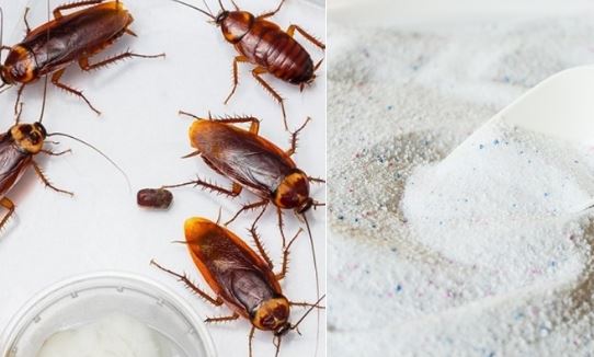 Trộn chút gạo với bột giặt: Mang lại lợi ích không ngờ, tiết kiệm tiền triệu mỗi năm