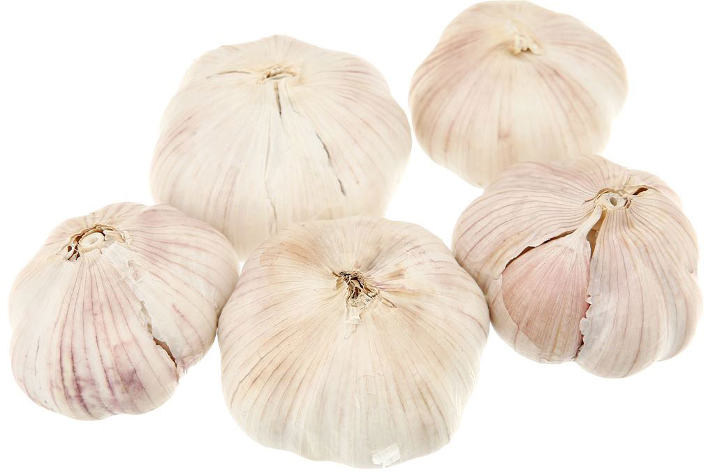 Bí quyết bảo quản tỏi để nhiều tháng không hỏng