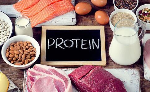Cơ thể cần bao nhiêu chất đạm mỗi ngày?