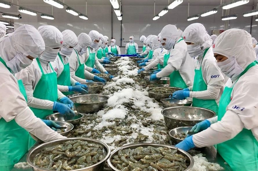 Xuất khẩu thủy sản dự kiến phục hồi từ quý 3/2023