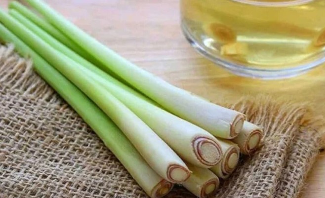 6 mẹo đuổi muỗi, tránh muỗi đốt từ thiên nhiên 