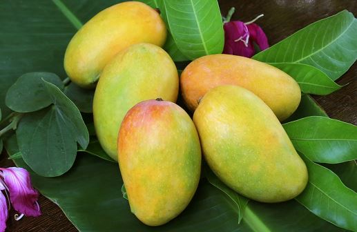 Những kiểu người nên cẩn thận khi ăn xoài