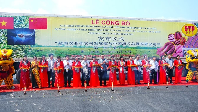 Cắt băng Lễ Công bố xuất khẩu chuyến hàng khoai lang đầu tiên của Việt Nam sang thị trường Trung Quốc.