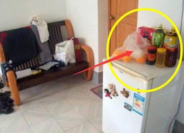 3 sai lầm khi dùng tủ lạnh khiến mau hỏng: Chuyên gia chia sẻ cách giúp tăng tuổi thọ, tiết kiệm điện năng