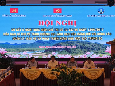 Phát triển rừng Bắc Trung Bộ: Năng suất, hiệu quả còn thấp

