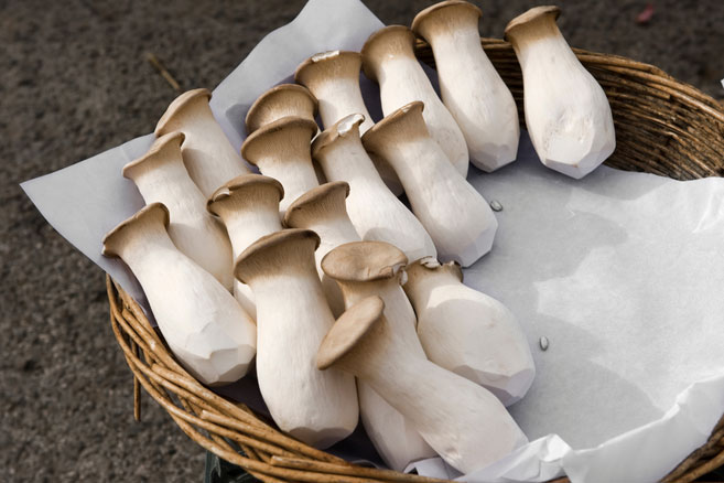 Nếu mua nấm đùi gà, bạn nhất định phải để ý 4 điều này 