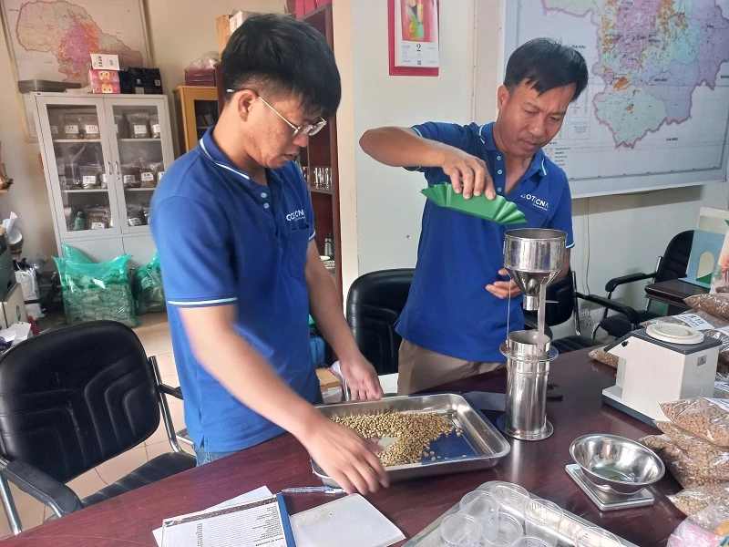 Các kỹ thuật viên đánh giá lỗi vật lý cà phê nhân tham gia cuộc thi “Cà phê đặc sản Việt Nam” 2023.