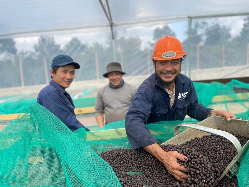 cuộc thi “Cà phê đặc sản Việt Nam – VietNam Amazing Cup” năm 2023 có sự góp mặt của 47 doanh nghiệp, hợp tác xã đến từ 7 tỉnh trồng cà phê trên cả nước