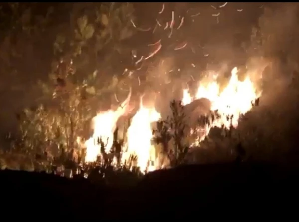 Vào khoảng 20h tối qua 19/4 đã xảy ra vụ cháy tại khu vực núi Hầm Vàng (Ảnh do UBND phường Hòa Hiệp Bắc cung cấp)