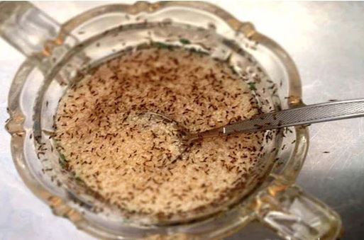 Mùa kiến "hoành hành", chỉ chị em cách đuổi kiến khỏi lọ đường chỉ trong "1 nốt nhạc"