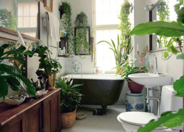 Biết 9 mẹo này, bạn sẽ không còn lo nhà tắm bốc mùi hôi