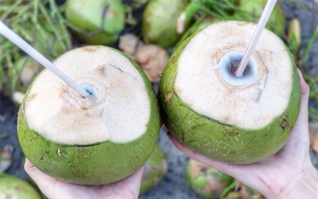 Bảo quản nước dừa bao lâu, cách nào giữ nguyên hương vị mà không độc hại? 3