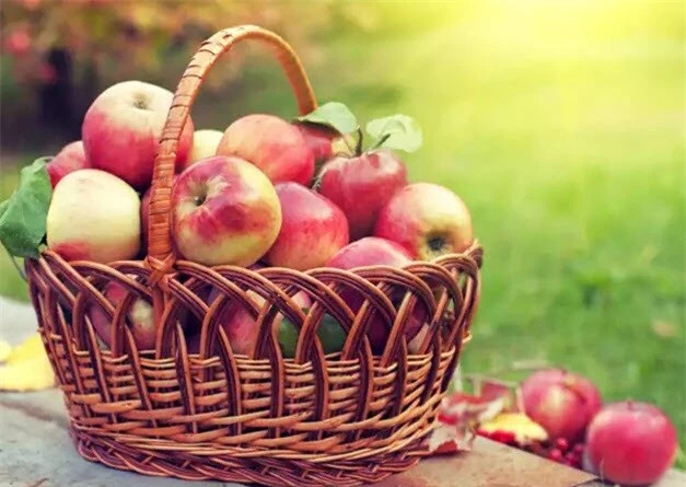 Bảo quản trái cây giữ vị tươi ngon, 4 loại quả này 
