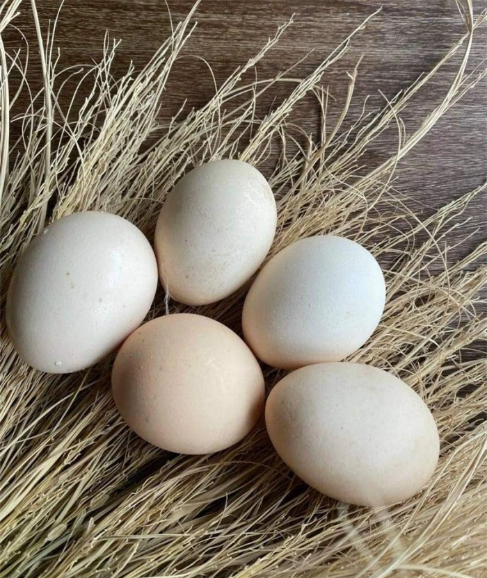 Trứng gà đừng luộc hay kho, làm trứng chảy chiên xù ai thấy cũng thèm 2