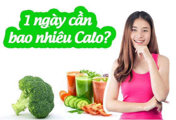 Mỗi ngày, cơ thể cần bao nhiêu calo?