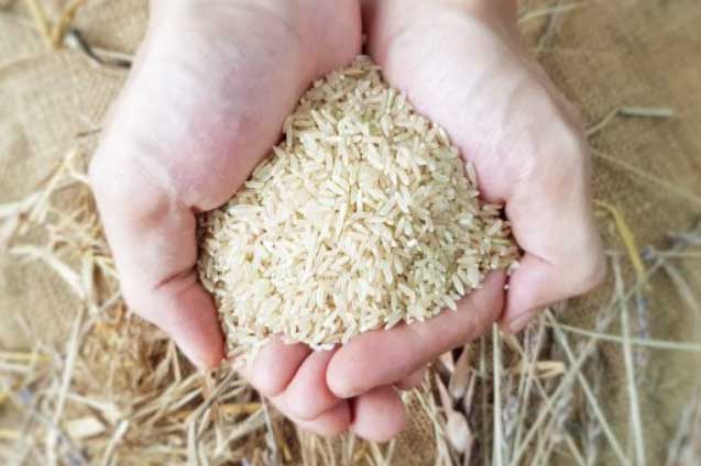 Gạo có dấu hiệu này không nên ăn kẻo hại gan
