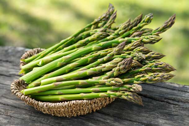 Khám phá công dụng kì diệu của măng tây - “Hoàng đế” dinh dưỡng của các loại rau