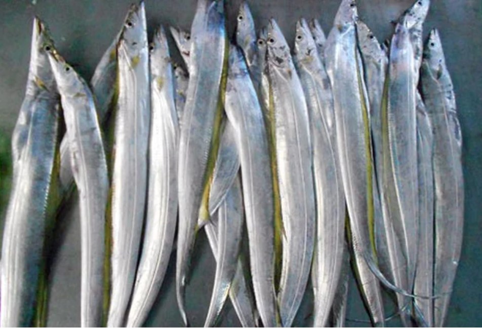 Ng&#x1B0;&#x1EDD;i b&#xE1;n c&#xE1; ti&#x1EBF;t l&#x1ED9;: &#x110;i ch&#x1EE3; th&#x1EA5;y 5 lo&#x1EA1;i c&#xE1; n&#xE0;y mua ngay v&#x1EC1;, c&#xE1; t&#x1EF1; nhi&#xEA;n s&#x1EA1;ch 100% kh&#xF4;ng lo h&#xF3;a ch&#x1EA5;t