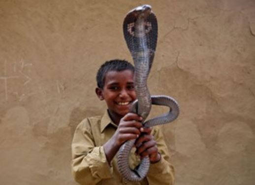 Clip: Khám phá nghề thôi miên rắn ở Ấn Độ