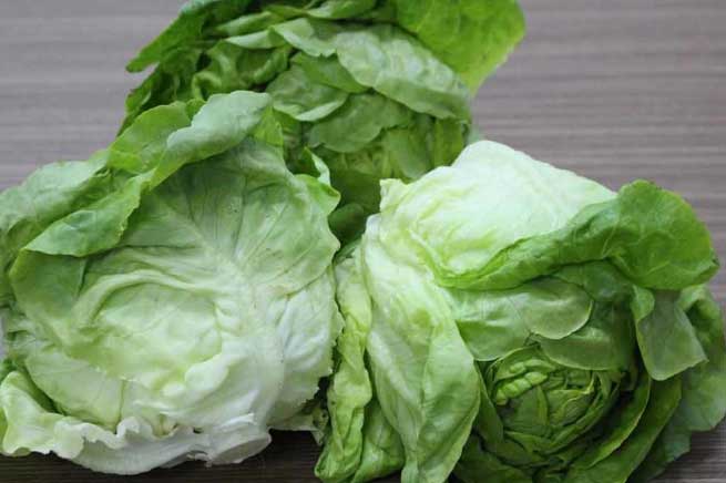 5 loại rau, 4 loại quả chứa đầy ký sinh trùng, không rửa sạch trước khi ăn chỉ rước mầm bệnh vào thân