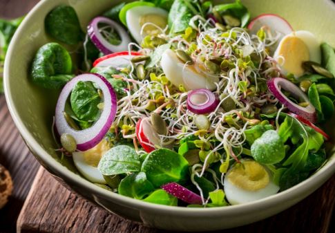 Những món ăn giúp hệ tiêu hóa khỏe mạnh trong mùa hè