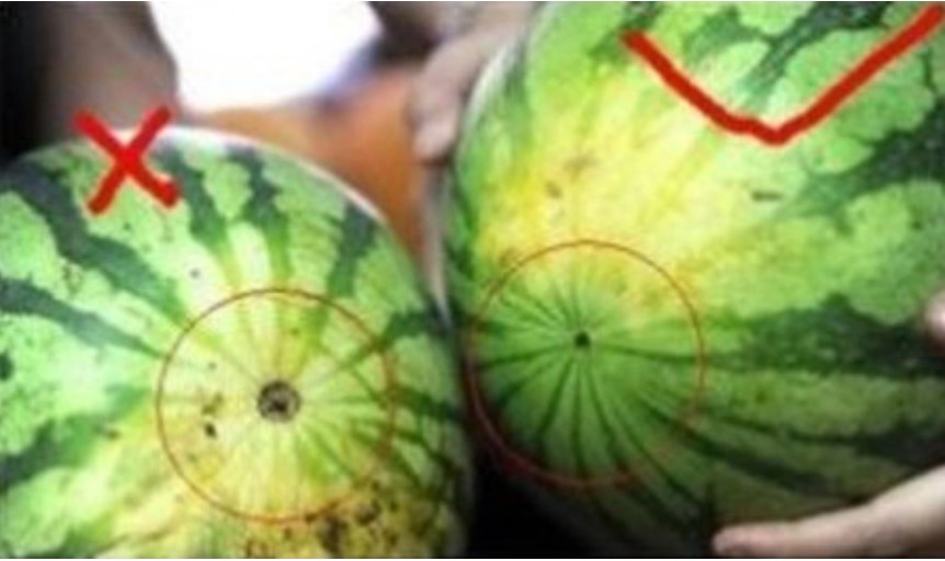 Mẹo chọn 15 trái cây hè cực an toàn và bổ dưỡng, người đi chợ nào cũng nên 'dắt túi'