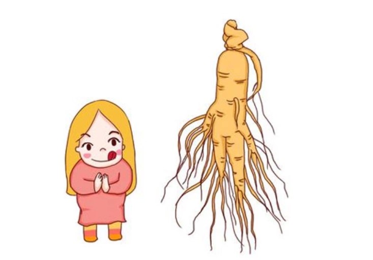 Những thực phẩm bổ dưỡng nhưng khiến phụ nữ sảy thai