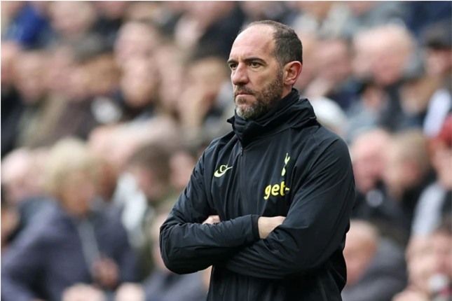 Cristian Stellini Cristian Stellini