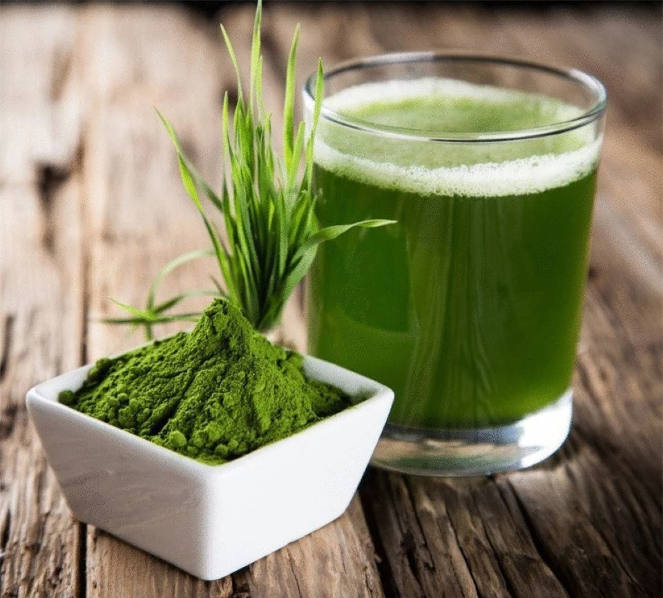 7 lợi ích tuyệt vời của tảo xoắn đối với sức khỏe