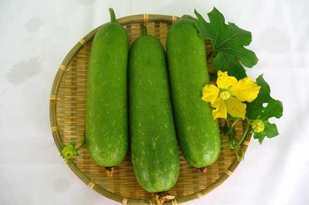 Sai lầm cần tránh tuyệt đối khi giảm cân bằng bí đao kẻo ngộ độc, mất mạng