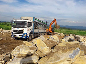 Nghệ An: Xử phạt công ty Vũ Trường Giang do khai thác trái phép 17.000m2 đất nông nghiệp