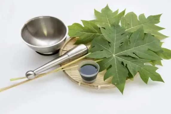 7 lợi ích tuyệt vời của lá đu đủ mà ít người biết tới