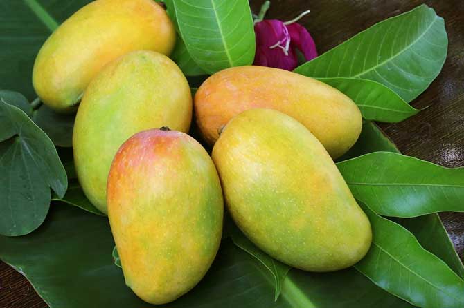 Loại quả giàu vitamin C gấp 9 lần chanh, siêu bổ dưỡng chỉ nhìn đã thèm