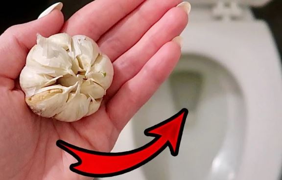 Lấy tép tỏi thả vào bồn cầu: Sáng dậy bạn sẽ thấy điều kỳ diệu xảy ra