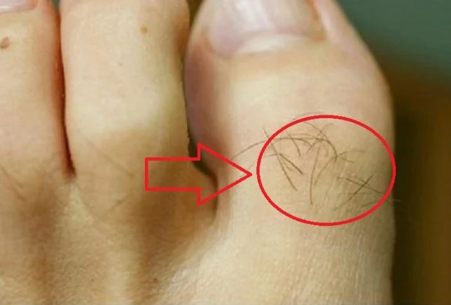 Tổ tiên dặn kỹ: Người lông mọc 5 vị trí này ngồi không cũng có lộc, phúc lớn mạng lớn, phú quý suốt đời