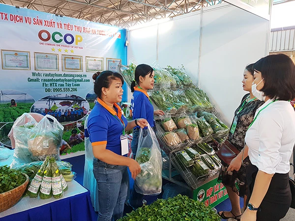 Rau sạch Túy Loan là một trong các sản phẩm đặc thù của Đà Nẵng được hỗ trợ đăng ký bảo hộ tài sản trí tuệ 