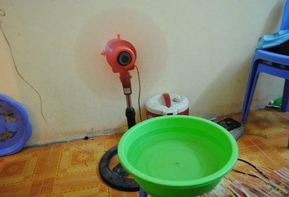 Đặt thêm thứ này trong phòng, dùng quạt hay điều hoà đều tiết kiệm một nửa tiền điện